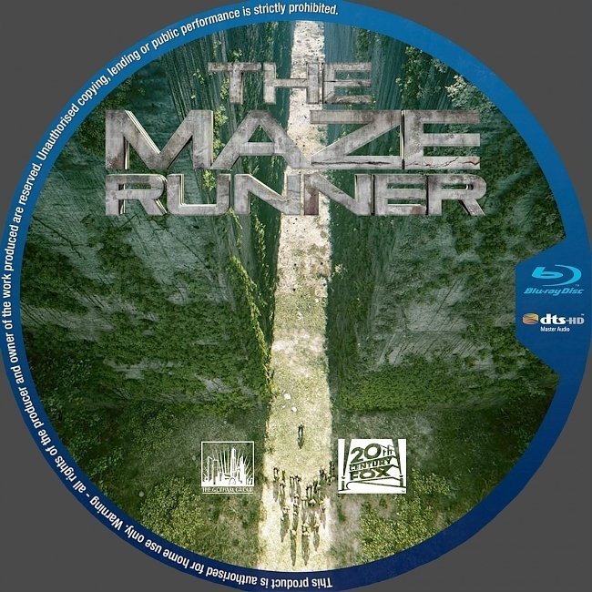 dvd cover The Maze Runner R0 Custom Blu-Ray