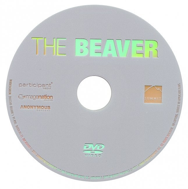 dvd cover The Beaver (2011) WS R1
