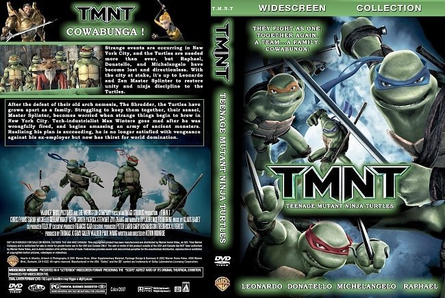 dvd cover TMNT (2007) WS