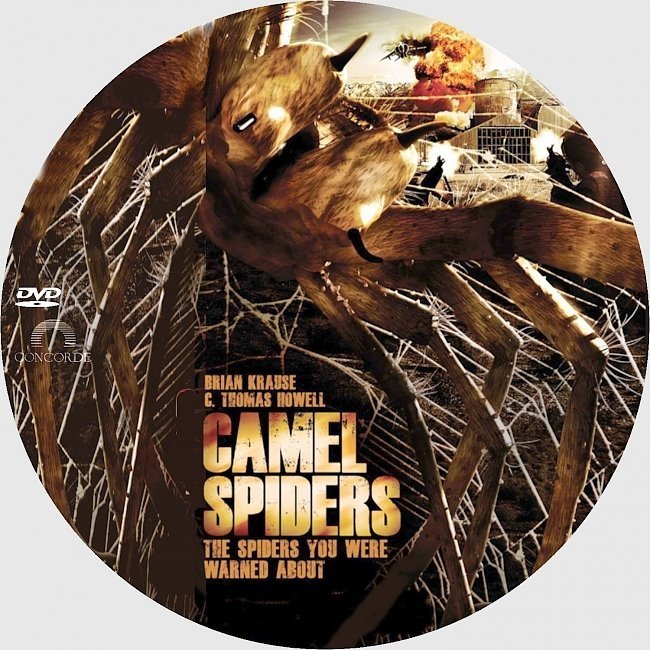 dvd cover Camel Spiders