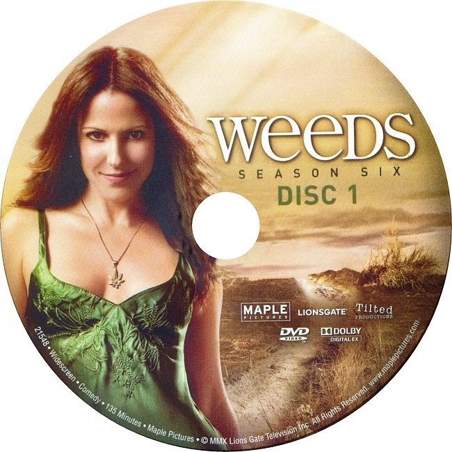 dvd cover Weeds: Season 6 (2010) R1 CUSTOM