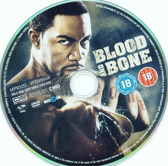 dvd cover Blood And Bone (2009) R2