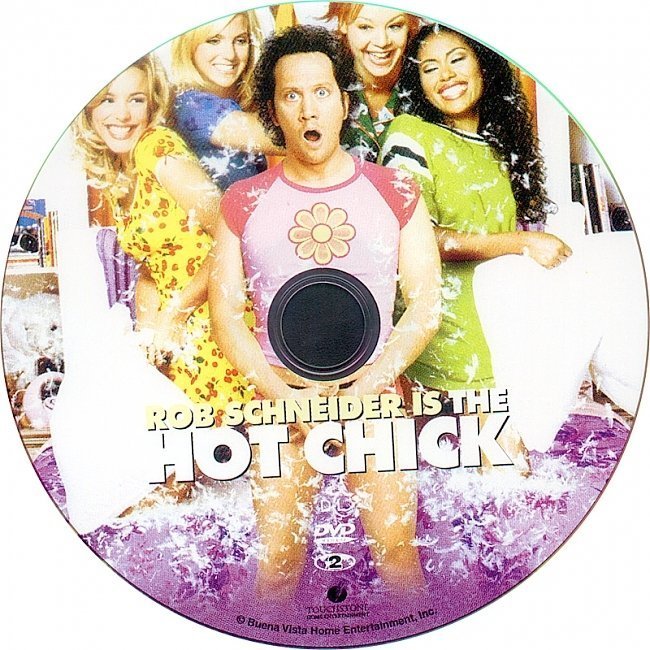 dvd cover The Hot Chick (2002) R1