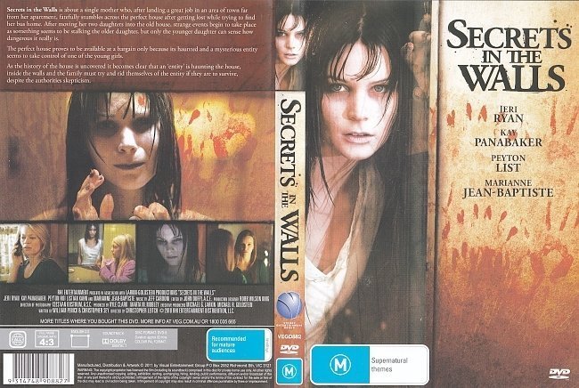 dvd cover Secrets In The Walls (2010) FS R4