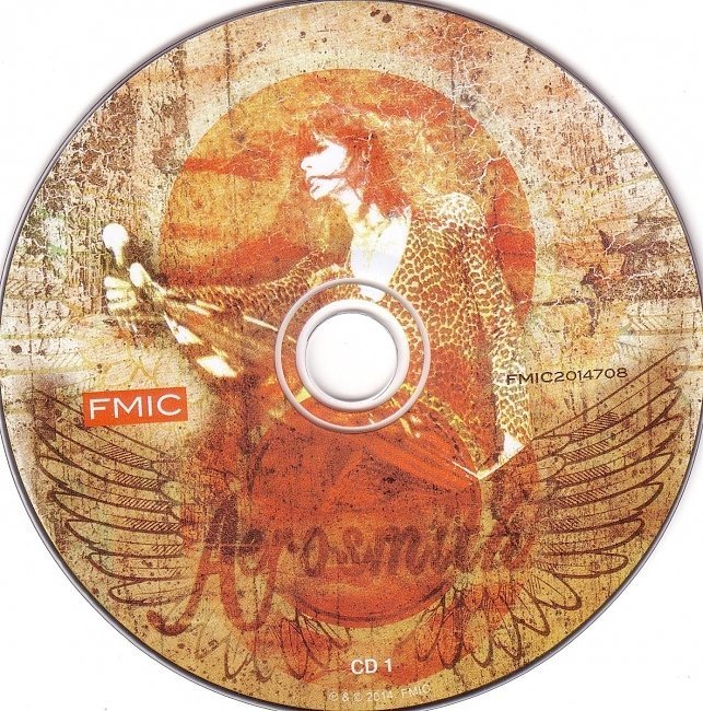 dvd cover Aerosmith - Up In Smoke