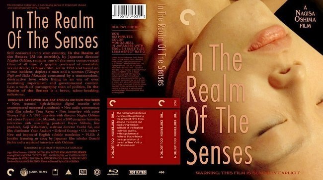 In The Realm Of The Senses 
