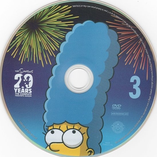 dvd cover The Simpsons: Season 20