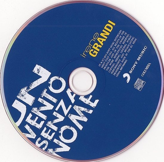 dvd cover Irene Grandi - Un Vento Senza Nome