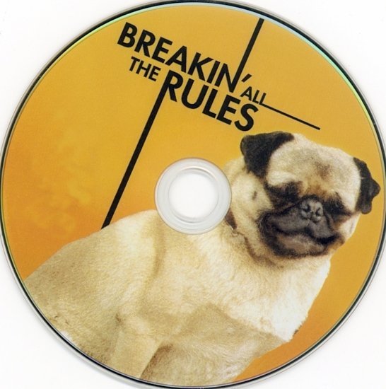 dvd cover Breakin' All The Rules (2004) SE R1