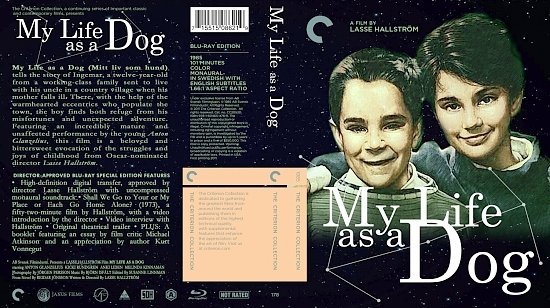 dvd cover My Life As A Dog