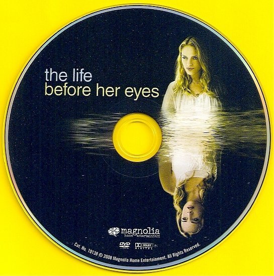 dvd cover The Life Before Her Eyes (2007) WS R1
