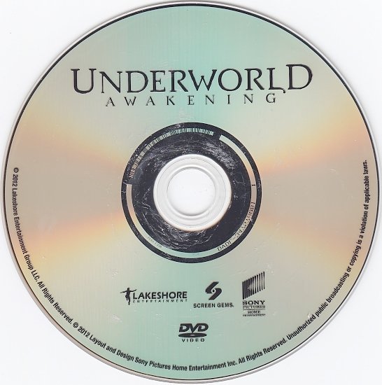 dvd cover Underworld: Awakening WS R1