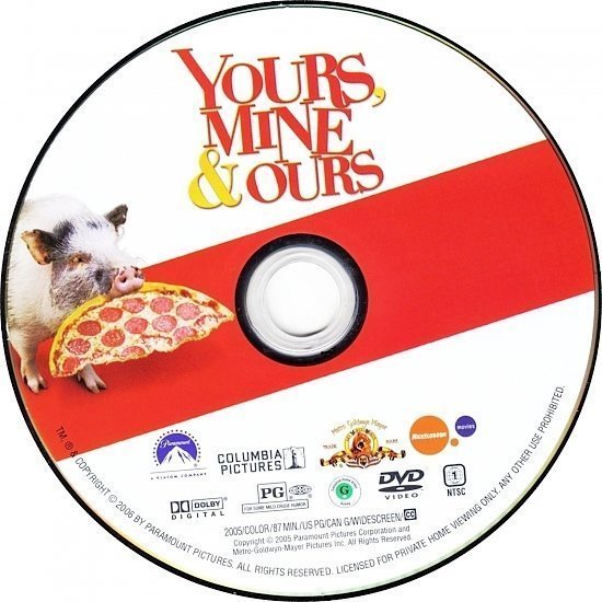 dvd cover Yours, Mine And Ours (2005) CE WS R1