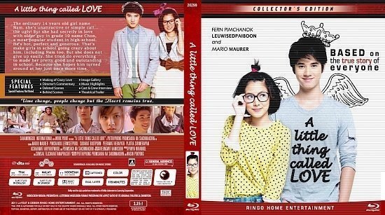 dvd cover A Little Thing Called Love