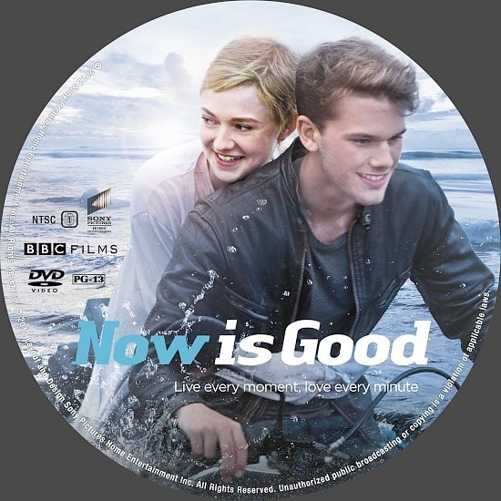 dvd cover Now Is Good SE R1