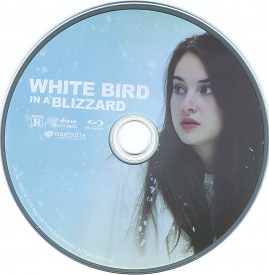 dvd cover White Bird In A Blizzard Blu-Ray