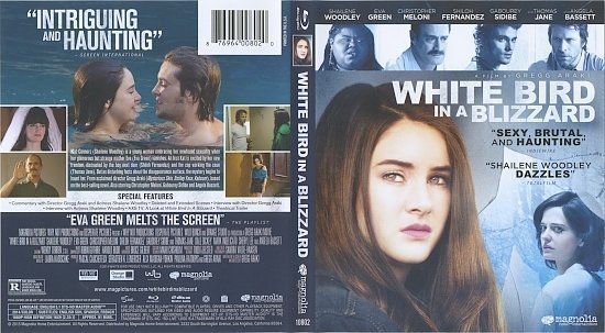 dvd cover White Bird In A Blizzard Blu-Ray
