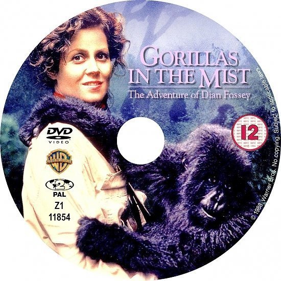 dvd cover Gorillas In The Mist (1988) WS R2