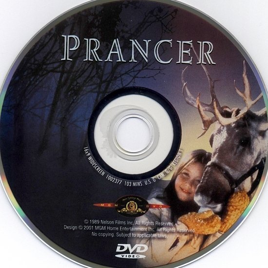 dvd cover Prancer (1989) WS R1