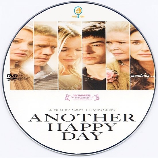 dvd cover Another Happy Day (2011) R0 Custom DVD Label