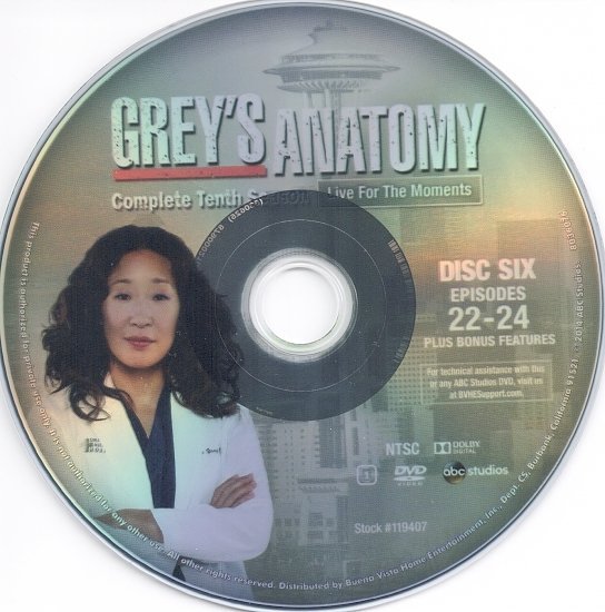 dvd cover Grey's Anatomy: Season 10 R1