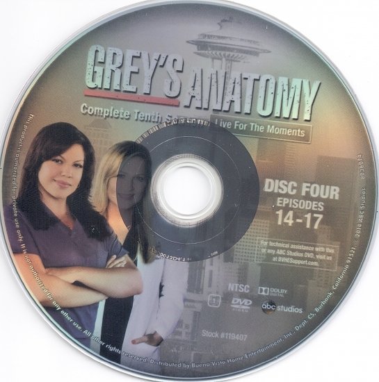dvd cover Grey's Anatomy: Season 10 R1