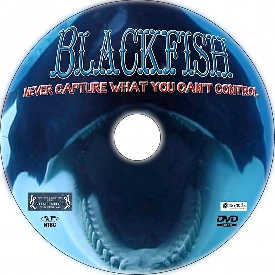 dvd cover Blackfish R1 Custom DVD Label