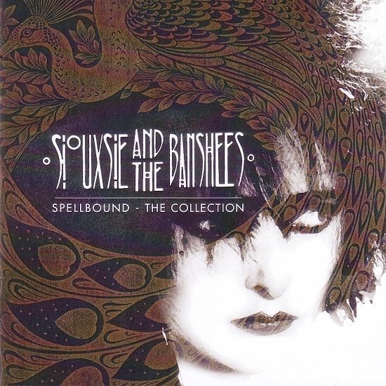 dvd cover Siouxsie & The Banshees - Spellbound - The Collection