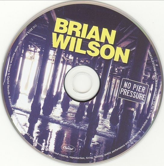 dvd cover Brian Wilson - No Pier Pressure