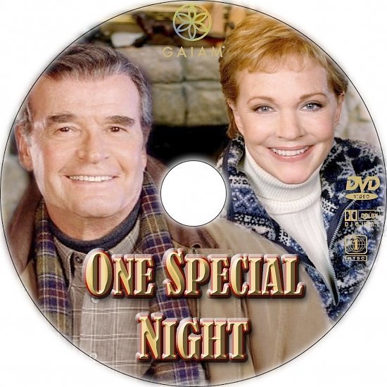 dvd cover One Special Night (1999) R1 Custom DVD Label