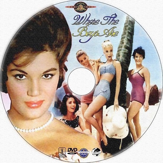 dvd cover Where the Boys Are (1960) R1 Custom CD Cover