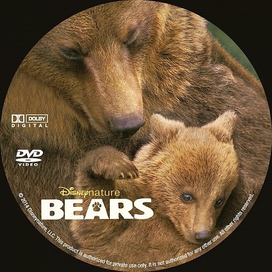 dvd cover Bears R0 Custom