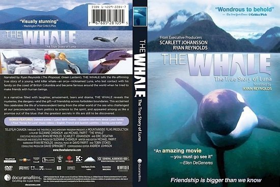dvd cover The Whale
