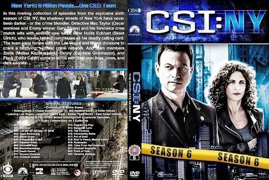 dvd cover CSI NY st S6