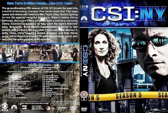 dvd cover CSI NY st S5