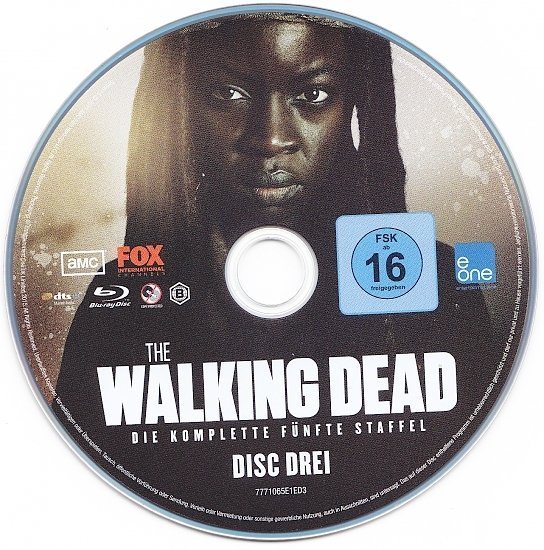 dvd cover The Walking Dead - Season 5 R2 Blu-Ray German