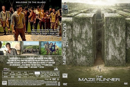 dvd cover The Maze Runner