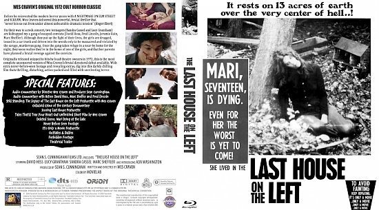 dvd cover The Last House On the Left
