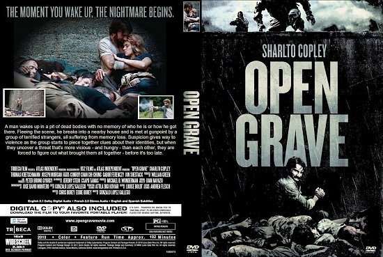 dvd cover Open Grave