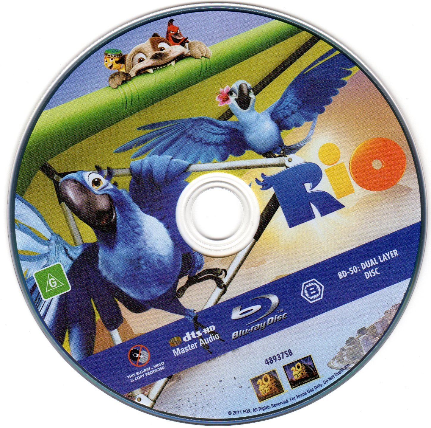 Rio 11 Dvd Covers And Labels