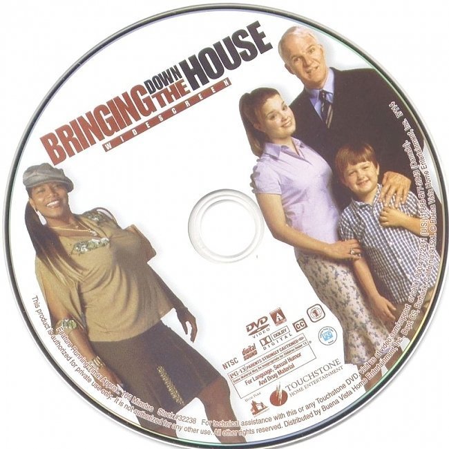 dvd cover Bringing Down The House (2003) WS R1