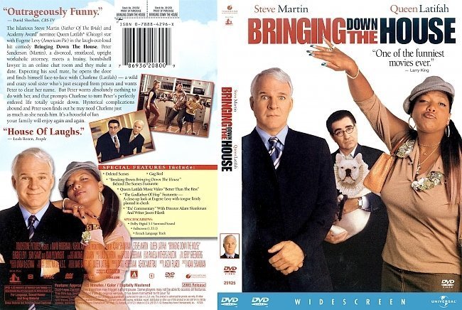 dvd cover Bringing Down The House (2003) WS R1