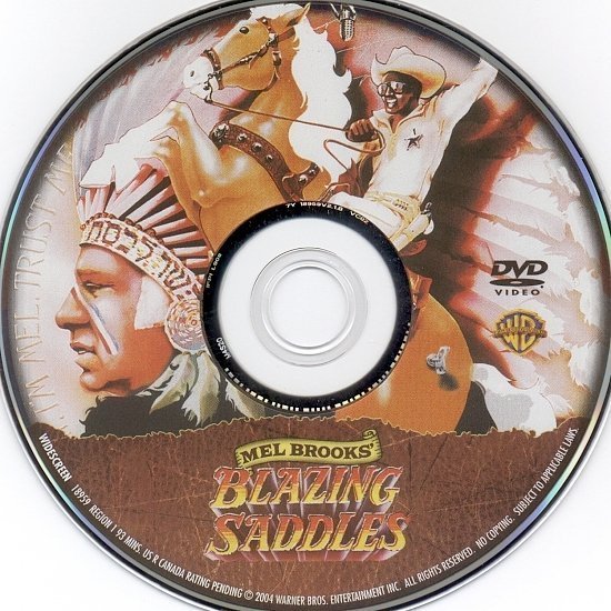 dvd cover Blazing Saddles (1974) WS SE R1