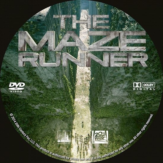 dvd cover The Maze Runner R0 Custom