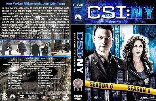 dvd cover CSI NY lg S6