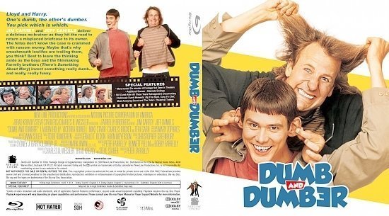 dvd cover Dumb And Dumber