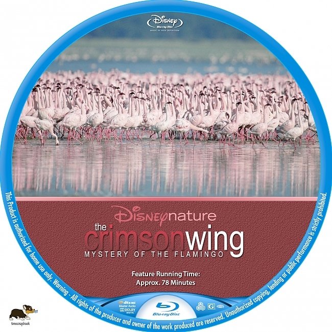 The Crimson Wing: Mystery of the Flamingos (2008) R1 Custom Blu-Ray Label 