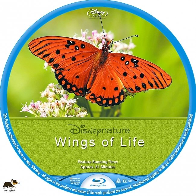 Wings of Life (2011) R1 Blu-Ray Custom Label 