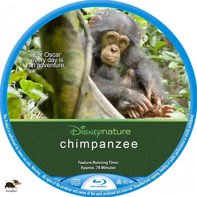 Chimpanzee  R1 Custom Blu-Ray Label 