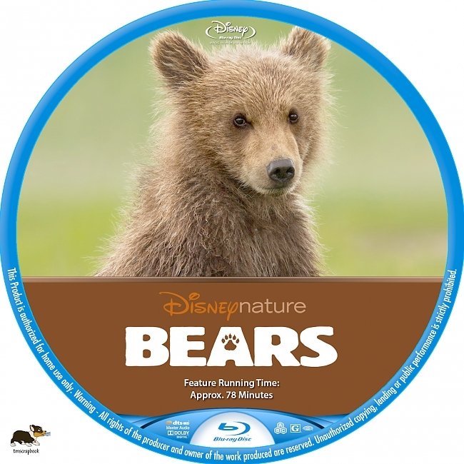 Bears  R1 Custom Blu-Ray Label 